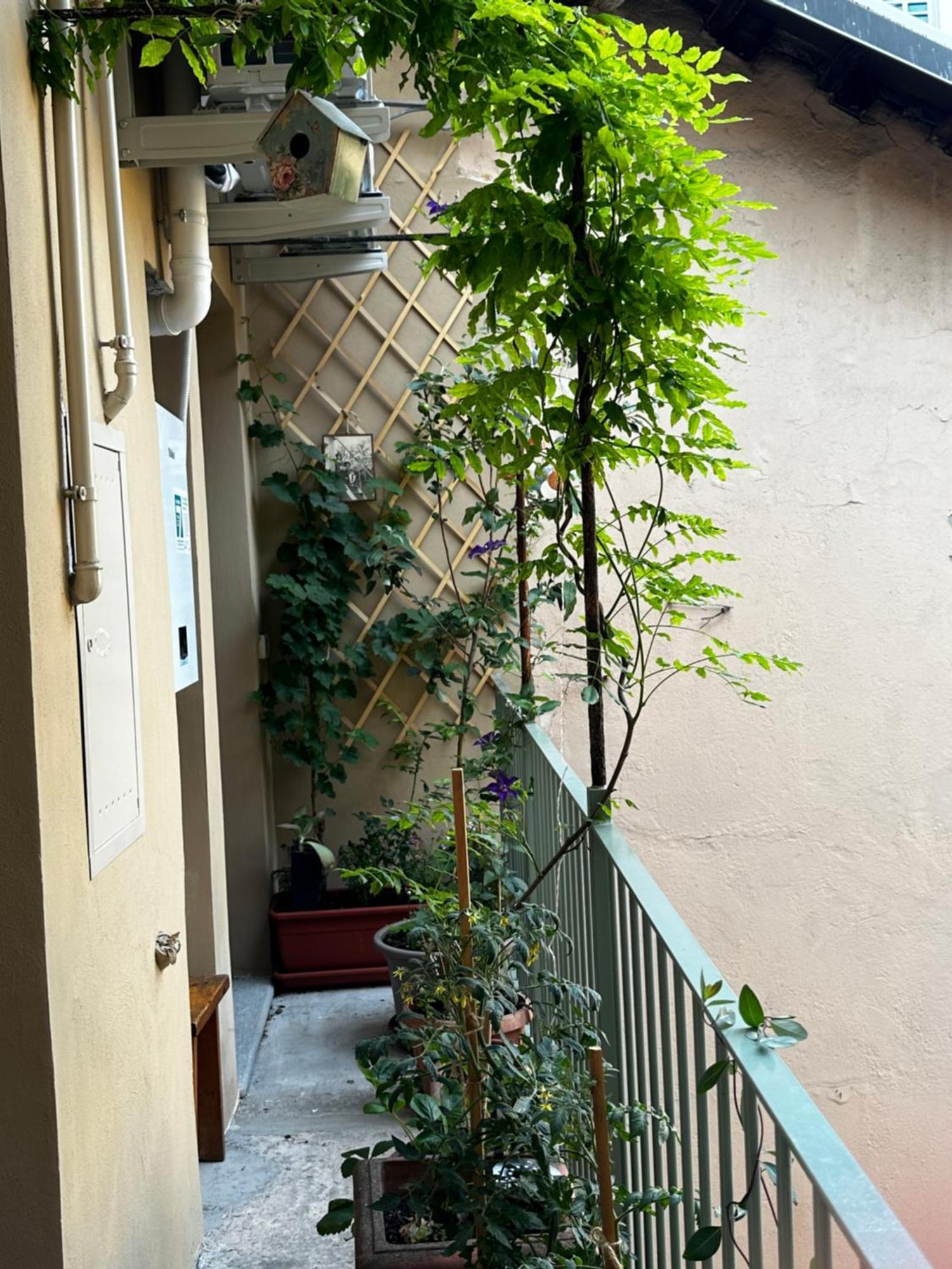 Il Balconcino Del Centro Storico Apartment Turin Exterior photo